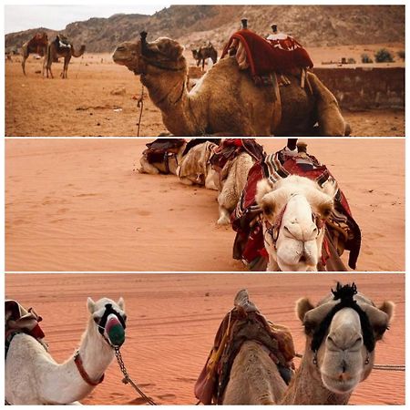 Wadi Rum Rozana Camp ภายนอก รูปภาพ