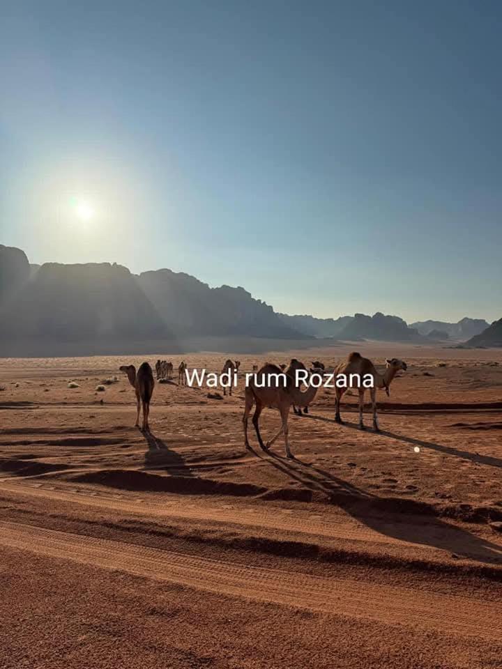 Wadi Rum Rozana Camp ภายนอก รูปภาพ