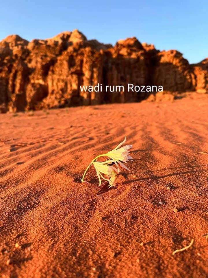 Wadi Rum Rozana Camp ภายนอก รูปภาพ